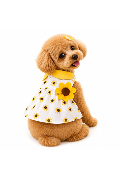 Dolce Pets Kedi Köpek Kıyafeti SunFlower Dress/Ayçiçeği Elbise