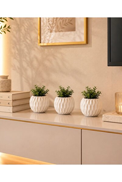 NOORBOHEMİA 3’lü Mini Diamond Desenli Sukulent & Kaktüs Saksı Seti – Beyaz De...