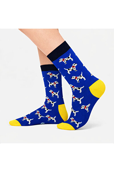 CARNAVAL SOCKS French Bulldog Desenli Renkli Unisex Çorap