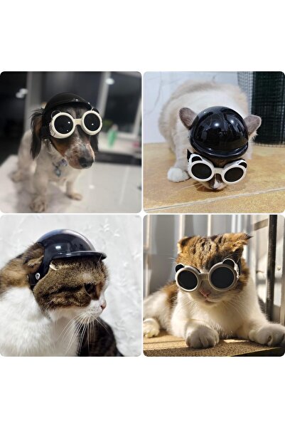 Arabest XS Dog Goggles with Helmet, 2-Piece Set, Anti-UV Protective for Cat M...