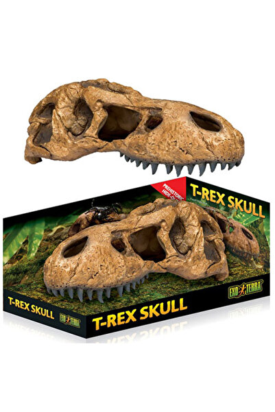 Exo Terra T-Rex Dinazor Kafatası Sürüngen Yuvası Dekor
