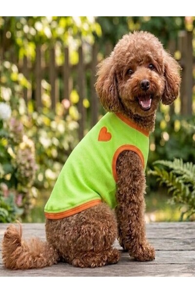 Peti Tailor Köpek Tişörtü Neon Yeşil Penye Turuncu Kalp Armalı Kedi Köpek Kıy...
