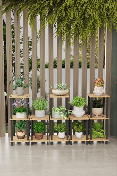 Remaks Eros Çok Katlı Basamak Saksılık Çiçeklik Standı | Dekoratif Modüler Bi...