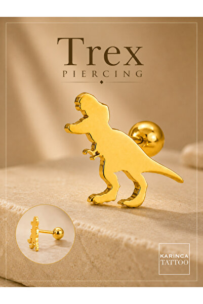 Karınca Piercing Dinozor Trex Kulak Piercing Tragus Helix Flat Conch Cerrahi ...