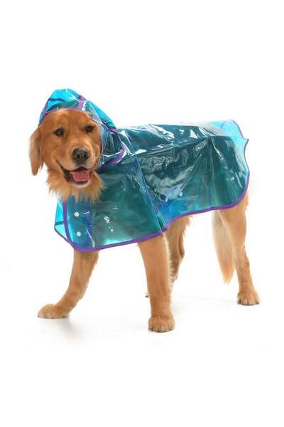 Petza Dog Large Breed Raincoat Otso Transparent Blue