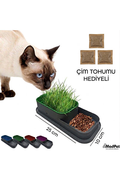MadPet 1 Adet Hidroponik Topraksız Doğal Kedi Çim Yetiştirme Kabı