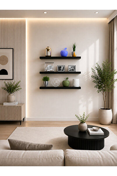 Egecan Mobilya Siyah Uçan Duvar Rafı 3 Lü Set Gizli Raf 50-50-50