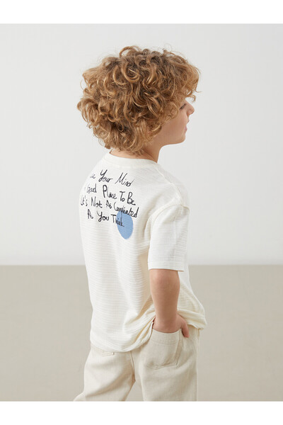LC Waikiki Original Oval Collar Printed Boy's T-Shirt