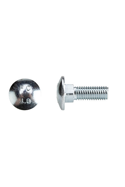 Evotools Surub Torbant Zincat DIN 603 H M6 18/30 mm
