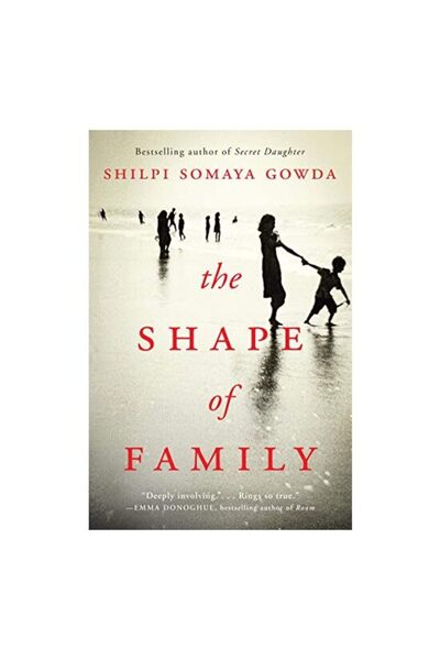 Harper Collins The shape of family : a novel