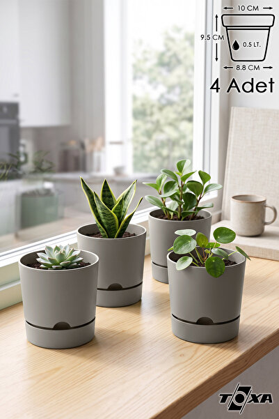 ToXA 4 Adet 0.5 Litre Bej Begonya Saksı Küçük Boy Tabaklı Dekoratif Mat Plast...