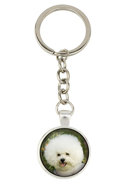 Art - Dog Bichon Frise, Bichon Tenerife - keychain with your photo, key decor...