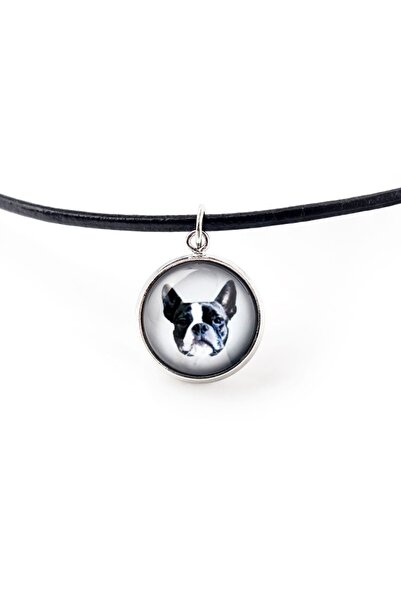 Art - Dog Boston Terrier - pandantiv pentru colier cu fotografia ta, lucrat m...