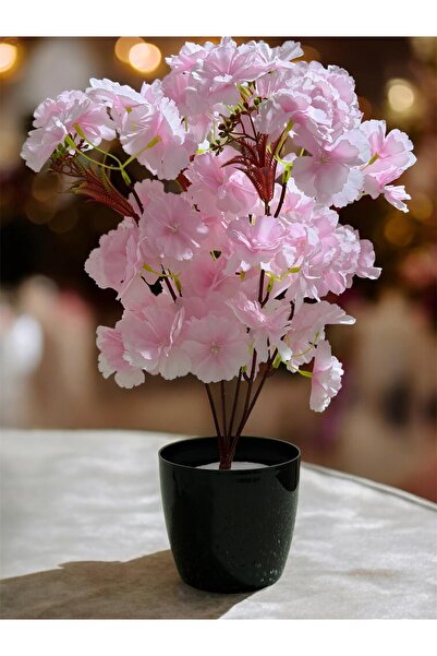 Lilac Home Yapay Çiçek Siyah Saksı İçerisinde Japon Kiraz Çiçeği Pembe