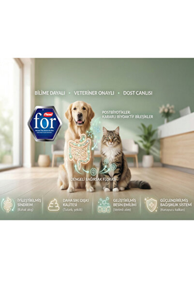 FlexiFor Kuzu Etli Yetişkin Köpek Yaş Maması 400 gr - Kolajen Destekli