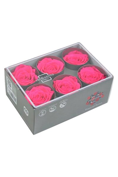 Verdissimo Cutie cu 6 Trandafiri Crioconservati, Roz Magenta