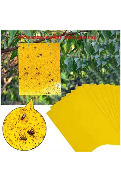 unbranded Set 10 benzi lipicioase pentru insecte, soluție eficientă anti mușt...