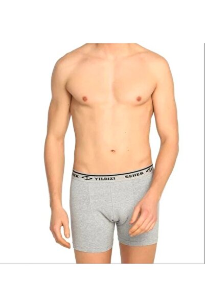Seher Erkek Gri Likralı Boxer(060)