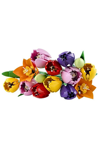 NW NessiWorld Tulip Bouquet 11501