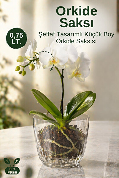 GİNZAMAİSON Şeffaf Orkide Saksısı 0,75 Lt Çıkarılabilir Tabanlı Dekoratif Saksı