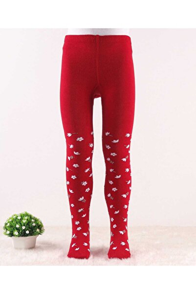 Cute Walk by Babyhug Knit Floral Design Antibacterial Tights - Red