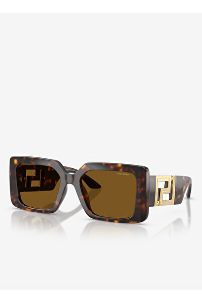 Versace Brown Women's Sunglasses 0Ve4505U55108/83