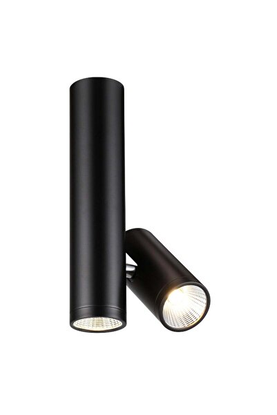 Rendl Light Studio RENDL BOGARD TWIN φωτιστικό οροφής μαύρο ματ 230V LED 2x5W...