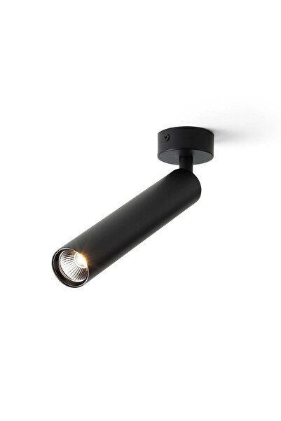 Rendl Light Studio RENDL DARRIN R επιφανειακό μαύρο 230V LED 6W 24 °   3000K