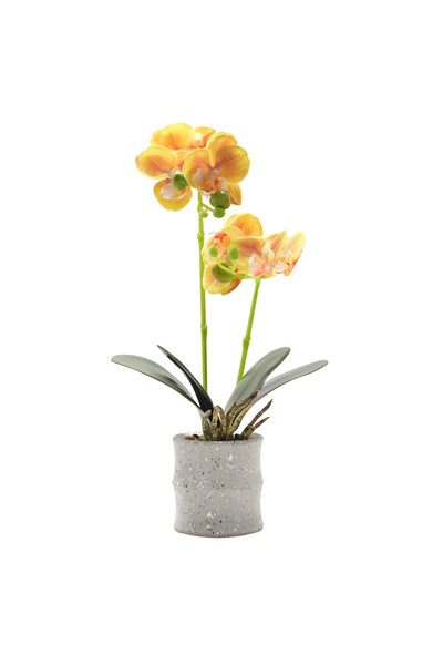 Naimeed Company Orhidee decorativă în ghiveci ceramic, 35 cm, Naimeed D4849, ...