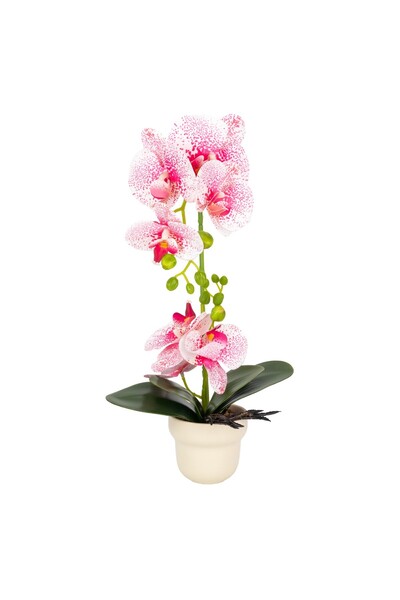 Naimeed Company -looking orchid in a ceramic pot, 49 cm, Naimeed D6898, Pink/...