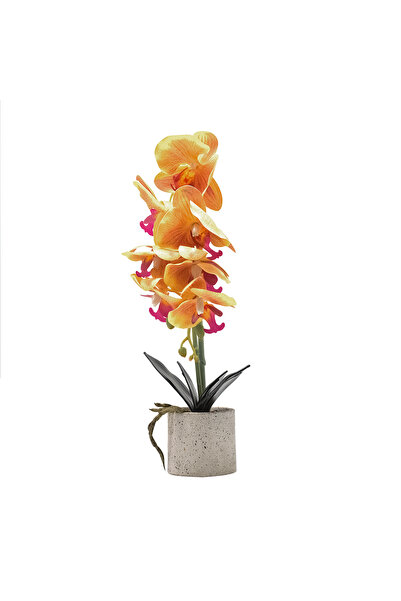 Naimeed Company Orhidee decorativă în ghiveci ceramic, 36 cm, Naimeed D4850, ...