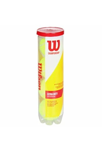 Wilson Mingi de tenis de campionat
