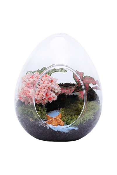 Choice L Creative Egg-shaped Glass Bottle Glass Vase Hydroponics Fleshy Micro...