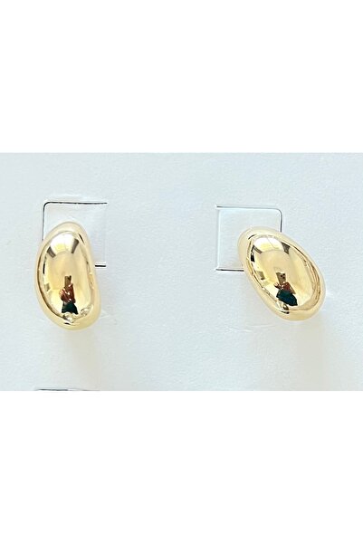 OEM Women's Gold Oval Earrings – Shiny Minimalist Design, Elegant & Chic, Sta...
