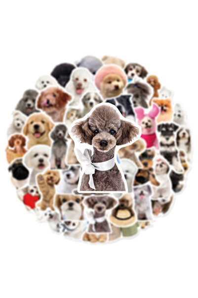 Choice 50pcs 50PCS Realistic Cute Puppy Graffiti Stickers Kitten Animal Stati...