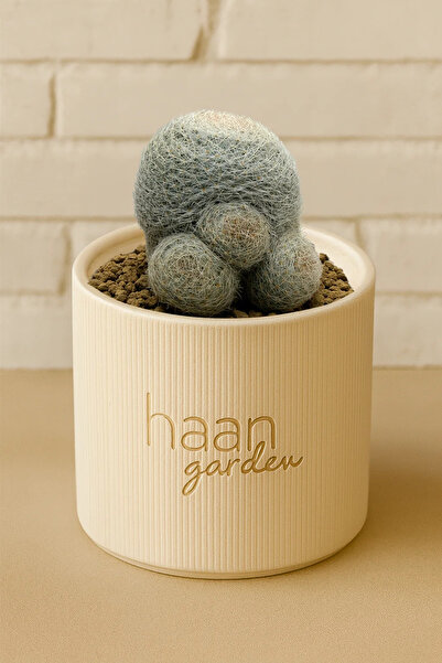 haan garden Lenta