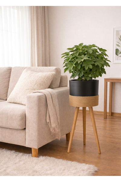 BLACK PEARL Bambu Ahşap ayaklı saksı siyah halatlı