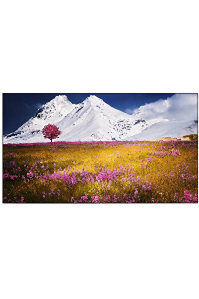Other Ecran de proiecție cu cadru fix, montabil pe perete, 332 x 181 cm, Elit...