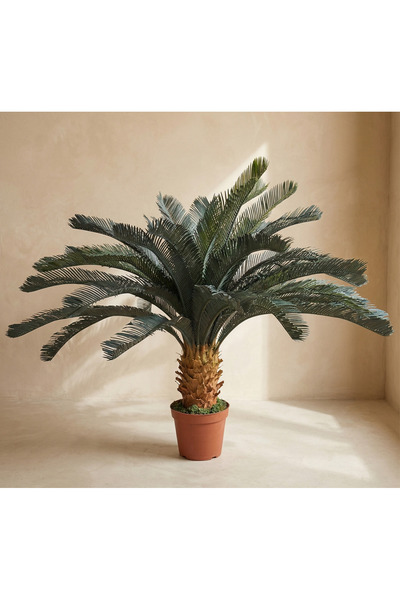 jonaeinah Kix Palm Trees from the Gineen Institute