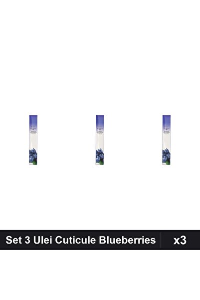 NAİLS Set 3 Uleuri Cuticule Stilou Blueberries, Îngrijire Unghii Profesională