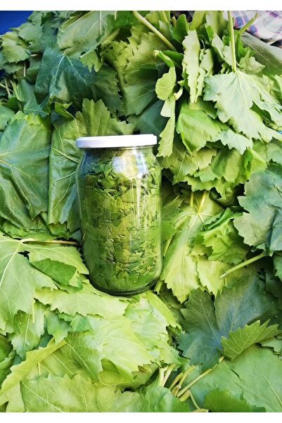 Eylül'ün Bahçesi Kuru Basım Bağ Asma Yaprağı 1'lik Cam Kavanoz Net: 450 Gr. Y...