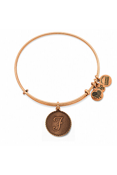 Alex and Ani Bratara Metal A08EB91FG
