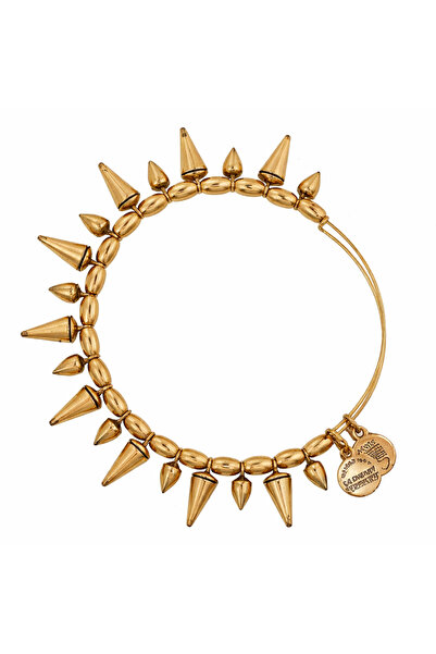 Alex and Ani Bratara Metal A12EB104RG