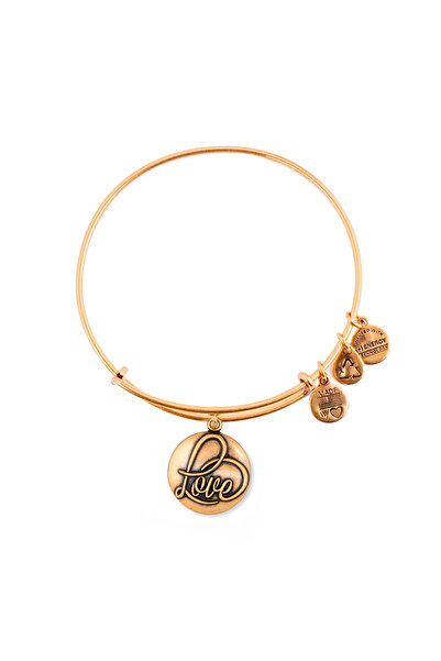 Alex and Ani Bratara Metal A16EBLRG