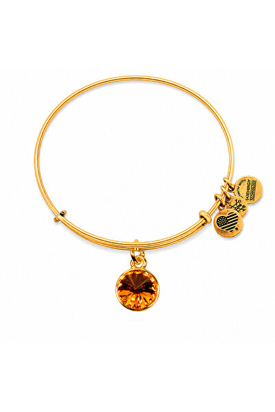 Alex and Ani Bratara Metal A12EB250RG