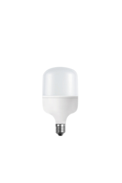 GR ELEKTRONİK AYDINLATMA EDSON ED-2929 4000K ILIK BEYAZ 20W TORCH LED AMPUL