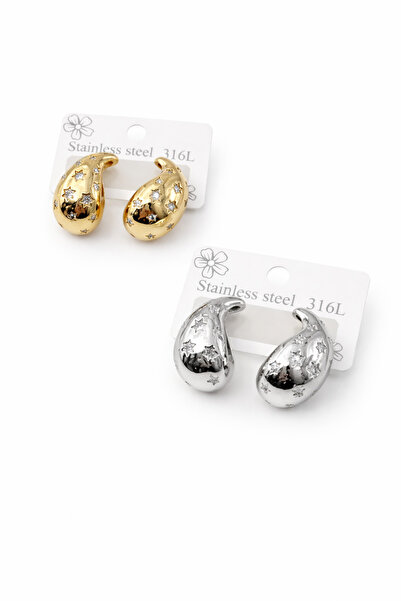 Bozhi Earrings Steel Silver Business Woman Style