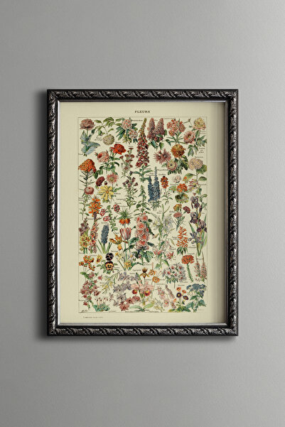 epiqart رسومات نباتية زهرية - إطار بنمط عتيق - نموذج رفيع