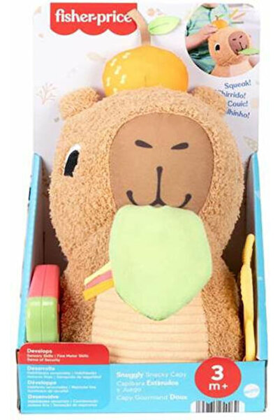 FISHER PRICE Υφασμάτινο βρεφικό παιχνίδι με ήχους για 3+ μηνών (Διάφορα σχέδι...