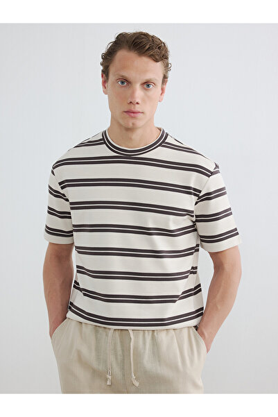 LC Waikiki Vizyon New Season Crew Neck Striped Men's T-Shirt